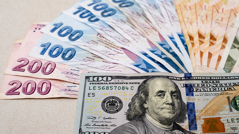 TL'de kayıp devam ediyor; dolar 17,20 lirayı aştı