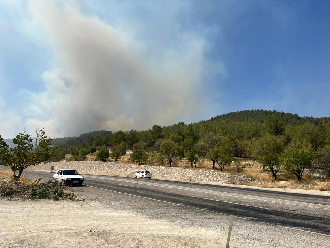 Sivas'ın Hafik ilçesinde orman yangını başladı