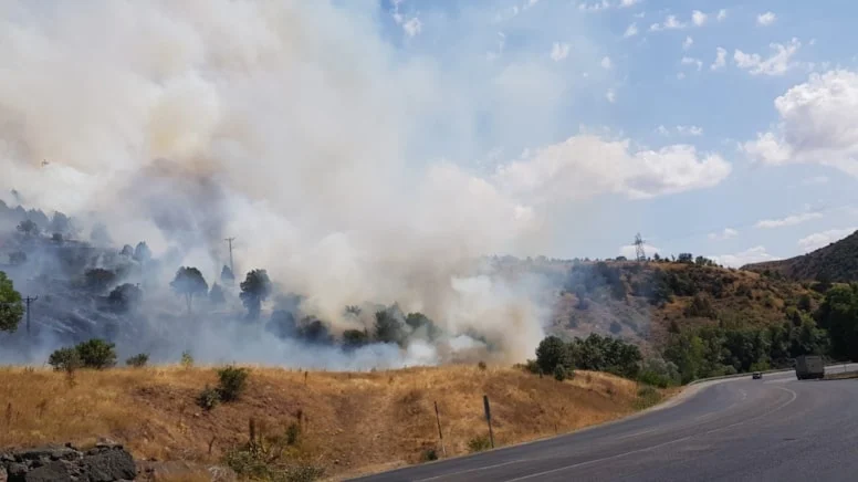  Zara'da orman yangını