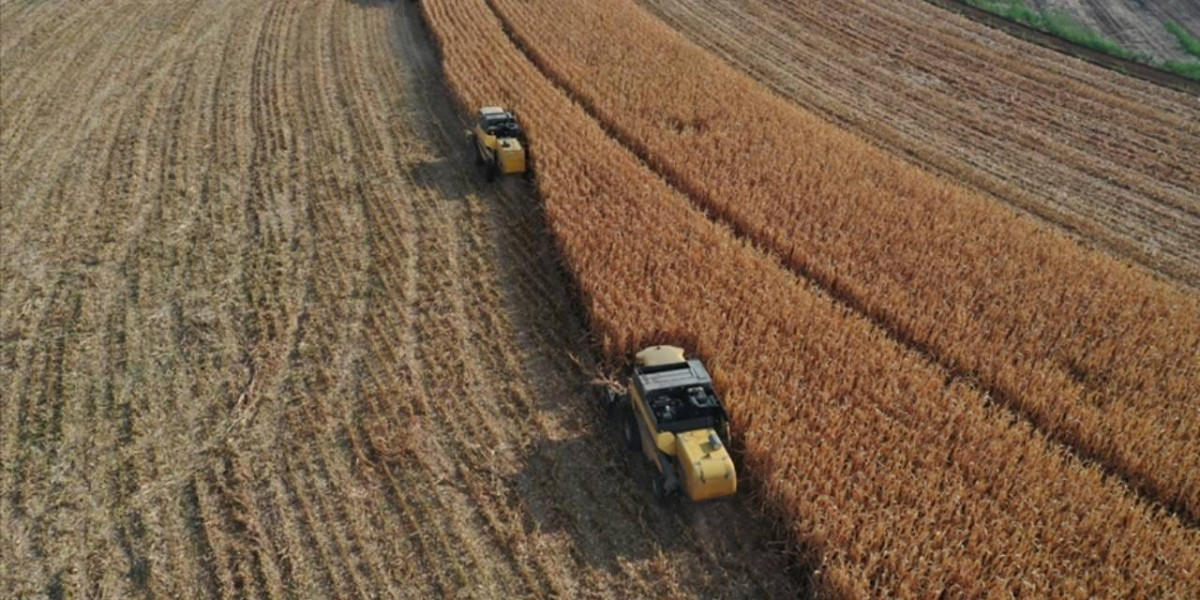 Bakanlık resmen açıkladı: 274 milyon TL'lik ödemeler hesaplara yatıyor