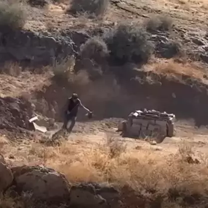 Sivas'ta yavru köpeğe sopalı şiddete tutuklama