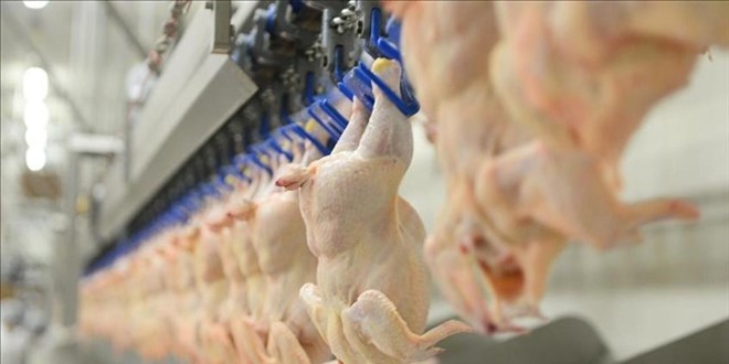 Beyaz et sektöründeki 13 firmaya 3,7 milyar lira ceza