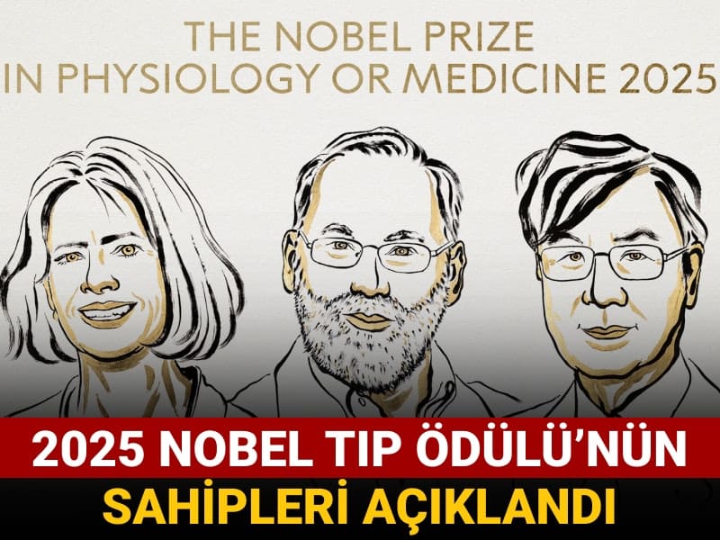 2025 Nobel Tıp Ödülü'nün sahibi belli oldu