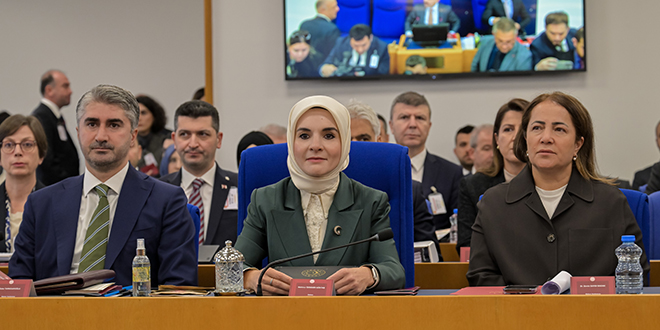 Sosyal medya kullanımına yaş düzenlemesi