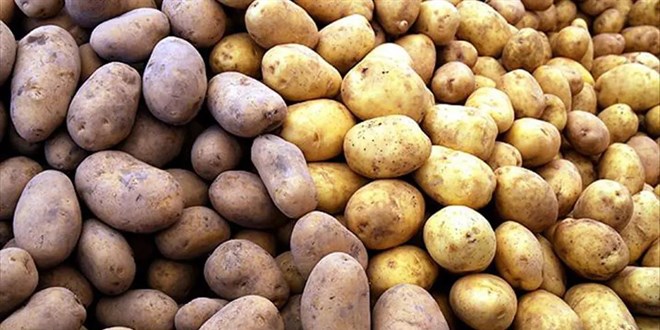 5 liradan alıp 6 kat fazlasına satıyorlar