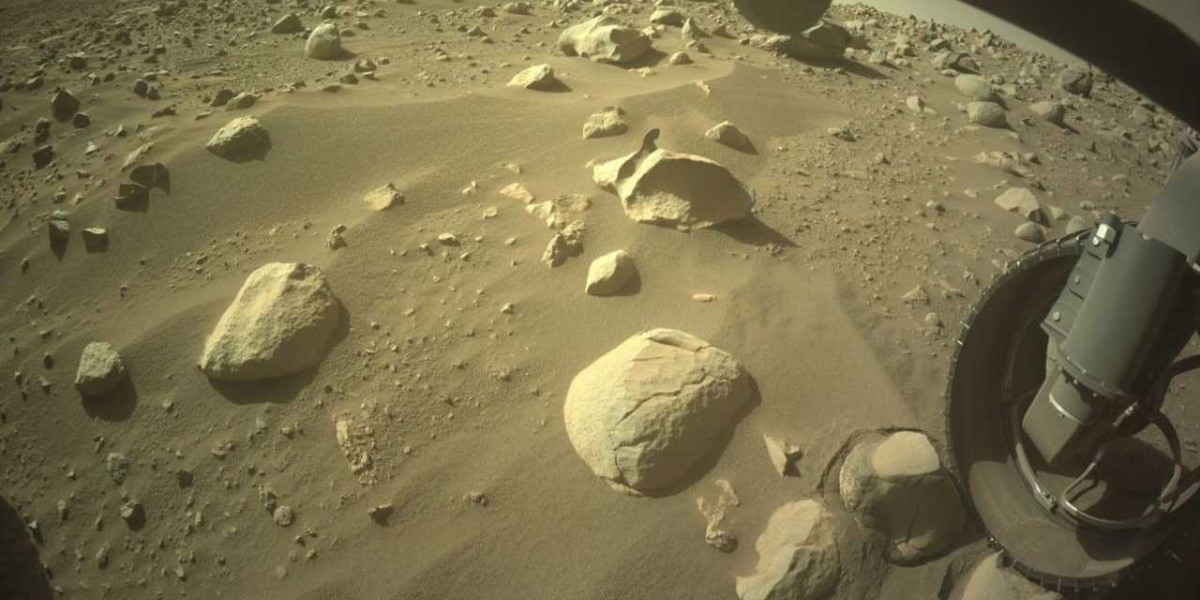 Yaşamın yapı taşları bulundu