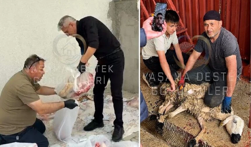 YAŞAMA DESTEK GÖNÜLLÜLERİ DERNEĞİNDEN KURBAN BAYRAMINDA İHTİYAÇ SAHİPLERİNE DESTEK