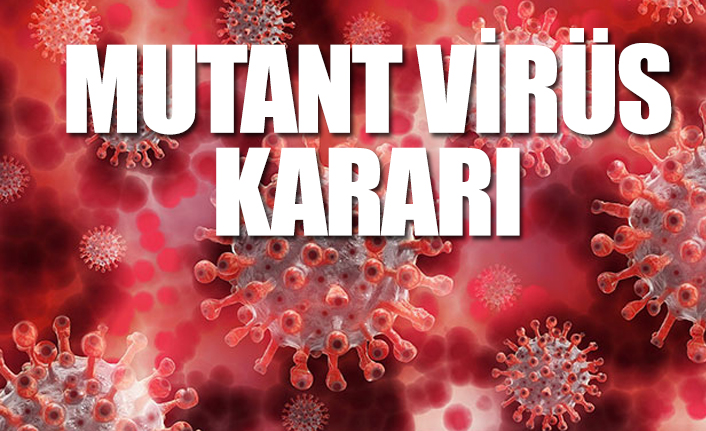 Sağlık Bakanlığı koronavirüs rehberini güncelledi