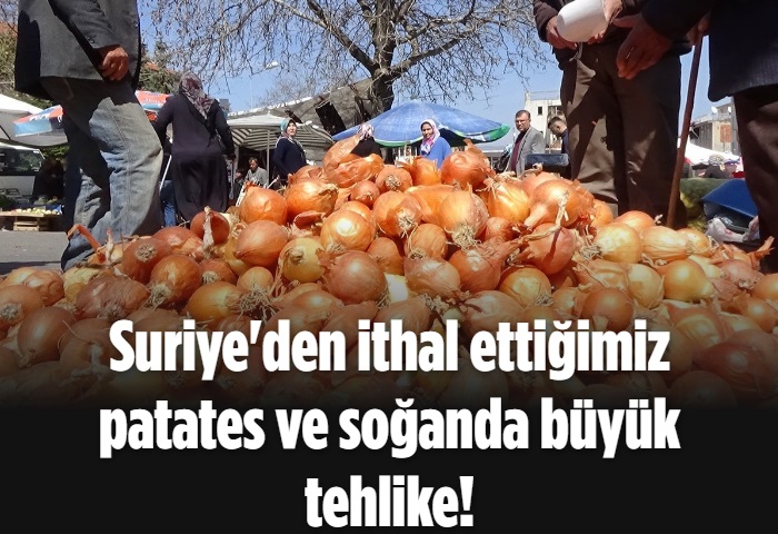 Suriye'den ithal ettiğimiz patates ve soğanda büyük tehlike!