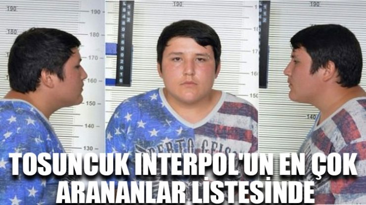 Tosuncuk Interpol’un en çok arananlar listesinde