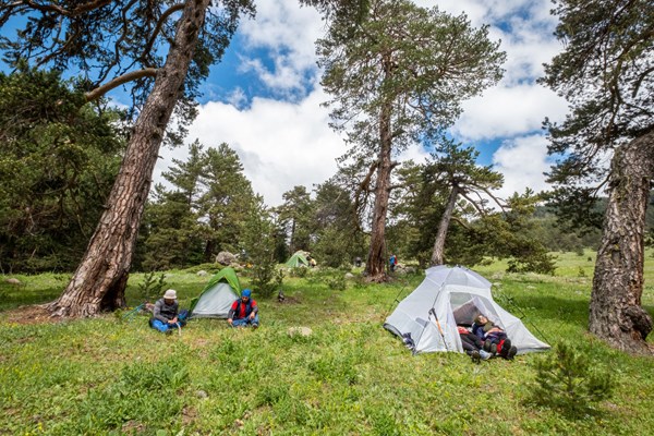 Kamp Turizminin yeni gözdesi Koyulhisar yaylaları oldu