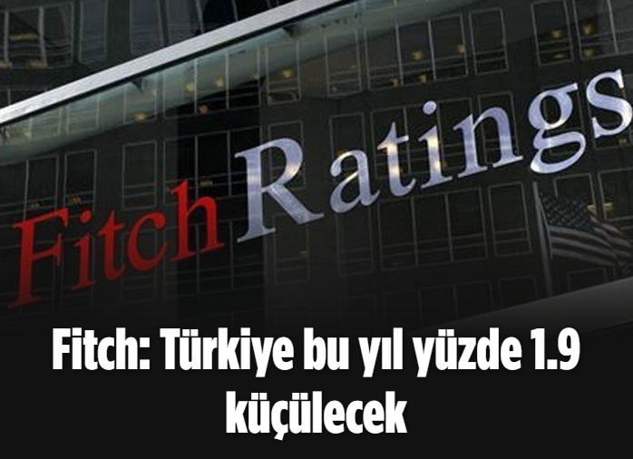 Fitch: Türkiye bu yıl yüzde 1.9 küçülecek 