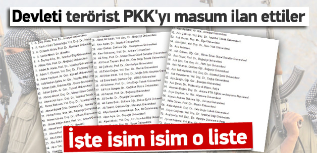 DEVLETİ KATLİAMLA SUÇLAYAN 1100 AKADEMİSYEN