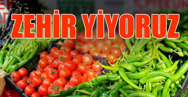 'Türkiye'de tüketilen domates ve salatalıklar zehirli'